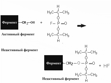 Ингибиторы бывают разные: обратимые и необратимые - student2.ru