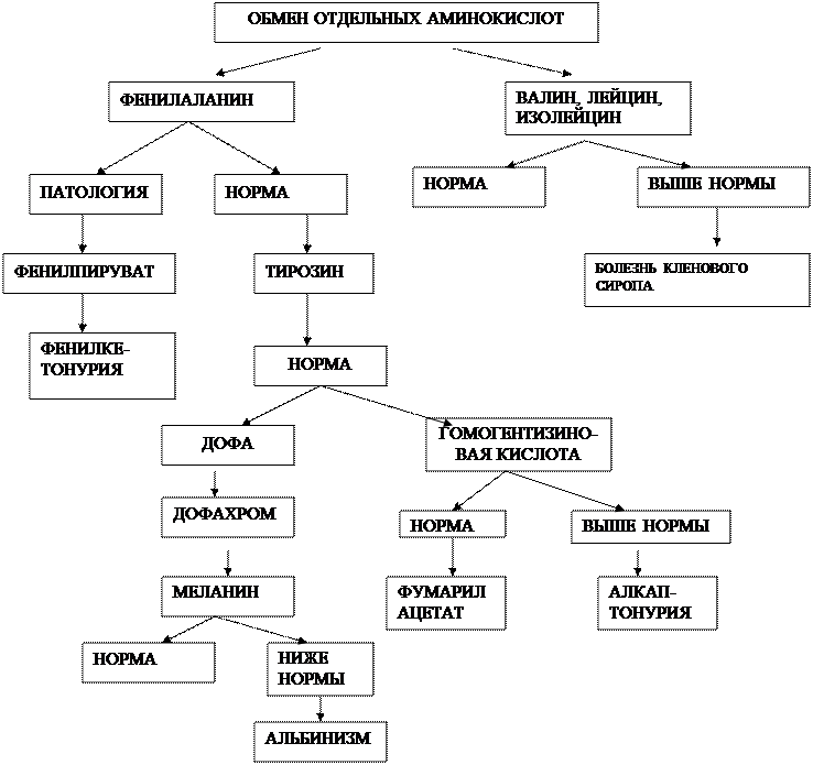 Инструкция к лабораторной работе - student2.ru