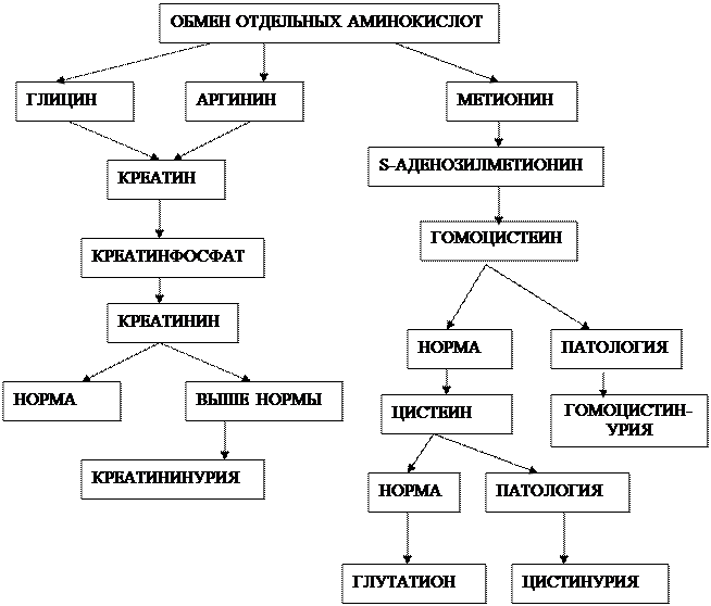 Инструкция к лабораторной работе - student2.ru