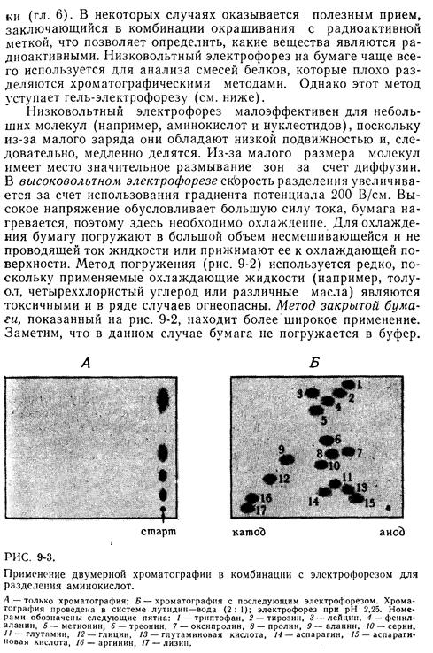 Ионнообменнаяхроматография - student2.ru