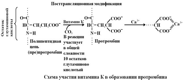 Использование ферментных препаратов - student2.ru