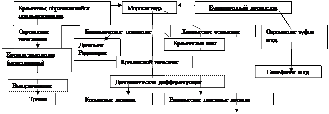 Источники вещества кремневых пород - student2.ru