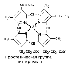 современная теория биоокисления - student2.ru