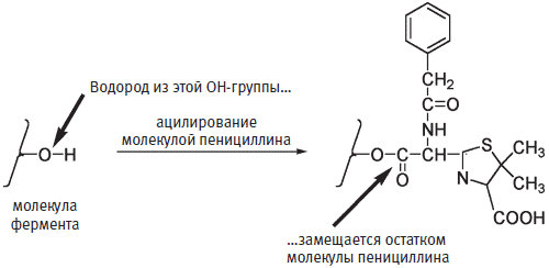 История сульфаниламидных препаратов - student2.ru