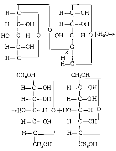 Изменения в составе ферментов - student2.ru