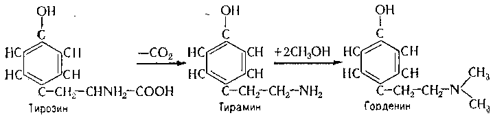 Изменения в составе ферментов - student2.ru