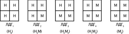 Измерение ферментативной активности - student2.ru