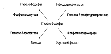 Измерение ферментативной активности - student2.ru