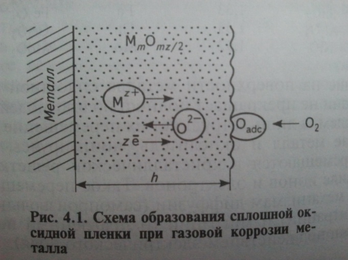 Изобразите кривую зависимости коррозионной стойкости железа от скорости движения нейтральной среды. - student2.ru
