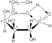Изомерия моносахаридов - student2.ru