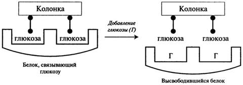 качественное и количественное определение белка - student2.ru