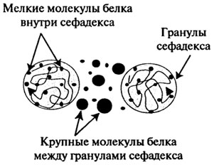 качественное и количественное определение белка - student2.ru