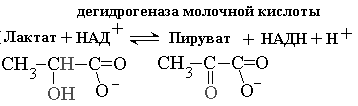 Качественное обнаружение и количественное определение активности. Единицы активности (МE, катал). Удельная активность. Число оборотов ферментов - student2.ru