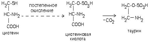 Химическая классификация нейромедиаторов - student2.ru