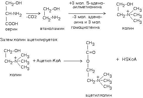 Химическая классификация нейромедиаторов - student2.ru