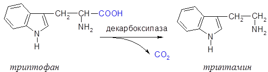 Химические свойства аминокислот. - student2.ru