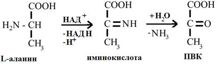 Химические свойства аминокислот. - student2.ru