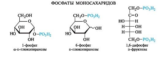 Химические свойства гексоз. - student2.ru
