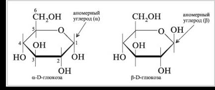 Химические вещества в живых организмах - student2.ru