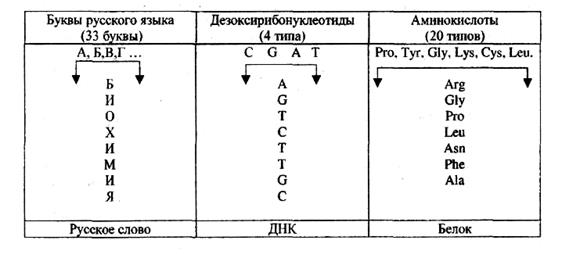 Химическое единство разнообразных живых организмов - student2.ru