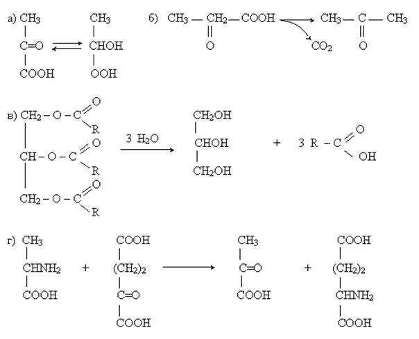 химия аминокислот и белков - student2.ru