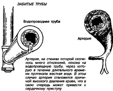 холодные руки и холодные ноги - student2.ru