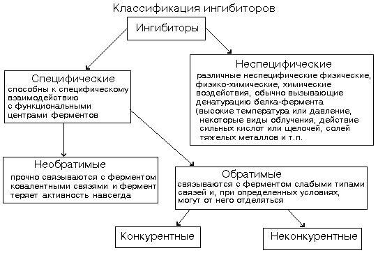 кинетика ферментативного катализа - student2.ru