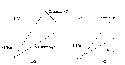 Кинетика смешанных неконкурентных ингибиторов - student2.ru