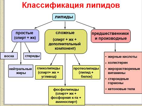 Кислоты и их биологическая роль - student2.ru