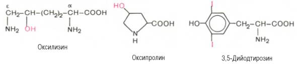 классификация аминокислот - student2.ru