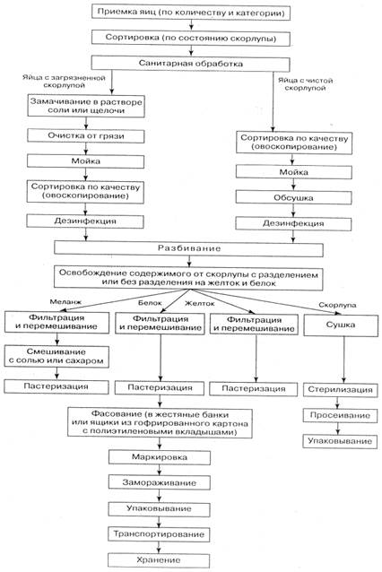 Классификация, дефекты, упаковка и хранение яиц - student2.ru