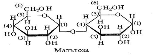 Классификация и строение углеводов. Углеводами называются полиоксиальдегиды и полиоксикетоны, а также соединения, которые превращаются в них после гидролиза - student2.ru