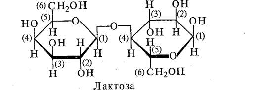 Классификация и строение углеводов. Углеводами называются полиоксиальдегиды и полиоксикетоны, а также соединения, которые превращаются в них после гидролиза - student2.ru