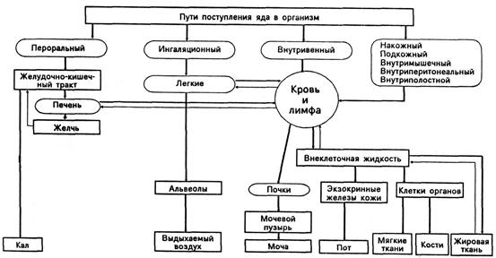 Классификация пестицидов по степени опасности, предложенная ВОЗ - student2.ru