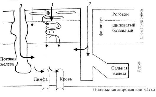 Классификация пестицидов по степени опасности, предложенная ВОЗ - student2.ru