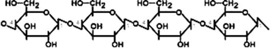 классификация полисахаридов - student2.ru