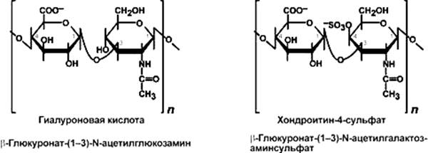 классификация полисахаридов - student2.ru