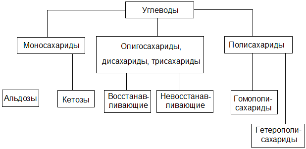 Классификация углеводов и их биологическая функция - student2.ru