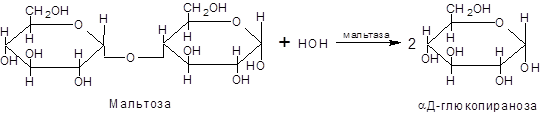 Дисахариды. Отдельные представители - student2.ru