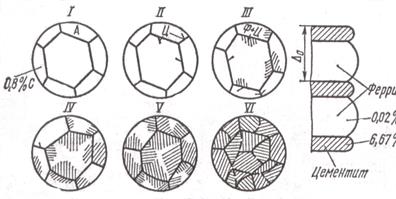 Компоненты и фазы в сплавах железа с углеродом - student2.ru