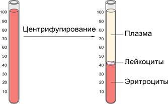 Компоненты плазмы крови и их функции - student2.ru