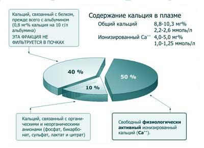 Концентрация кальция в крови человека - student2.ru