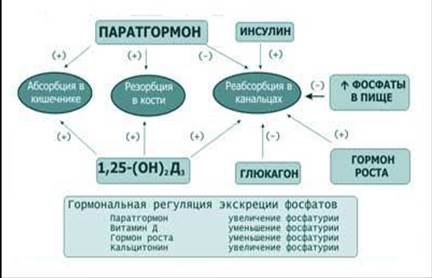 Концентрация магния в биологических жидкостях - student2.ru