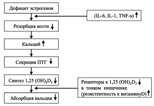 Концентрация магния в биологических жидкостях - student2.ru