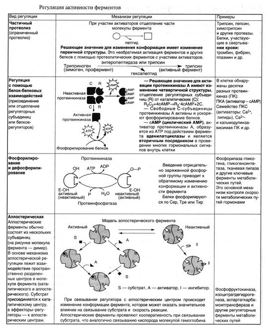 Контроль количества фермента - student2.ru