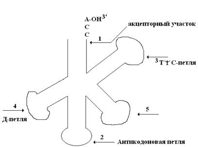 краткая история развития биохимии - student2.ru