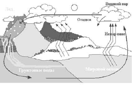 Круговорот фосфора в природе - student2.ru