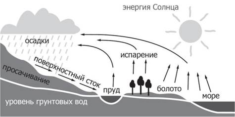 Круговорот кислорода в природе - student2.ru