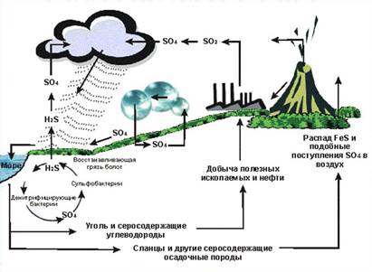 Круговорот кислорода в природе - student2.ru