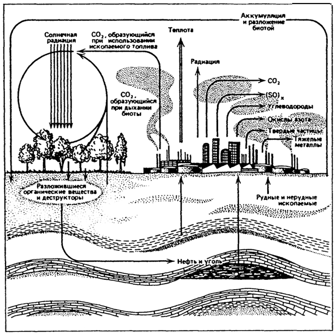 Круговорот углерода в природе. - student2.ru